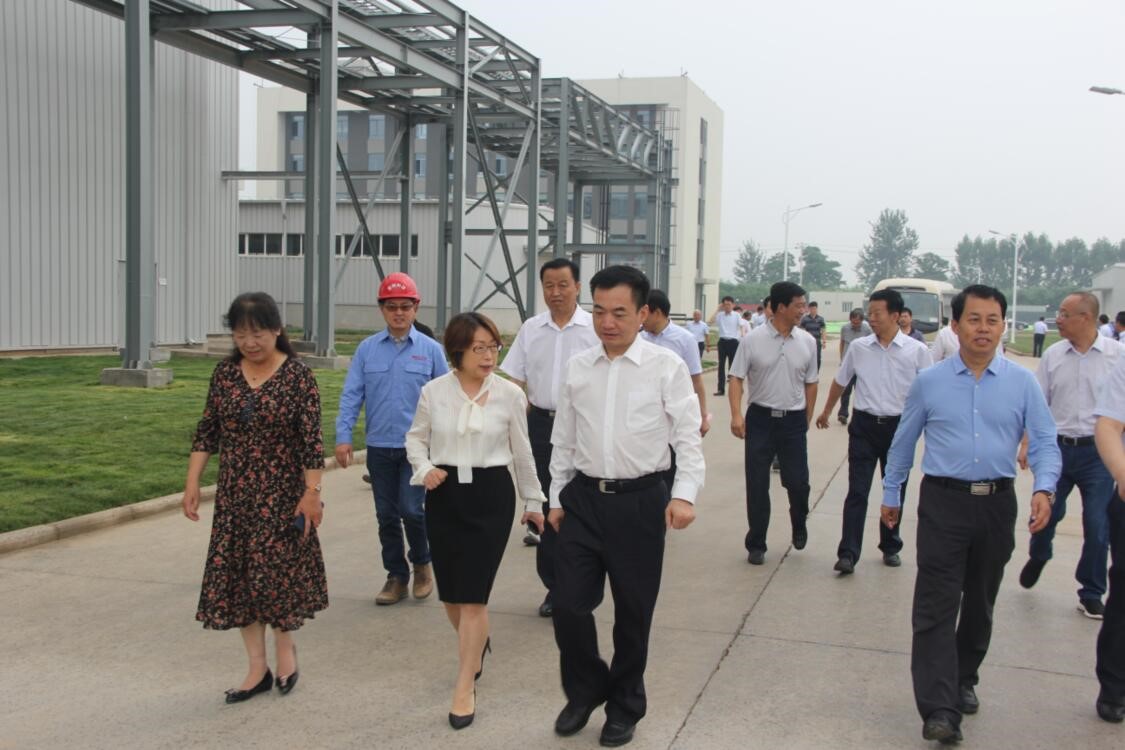 渭南市长李毅视察蒲城耀彩网科技新质料有限公司