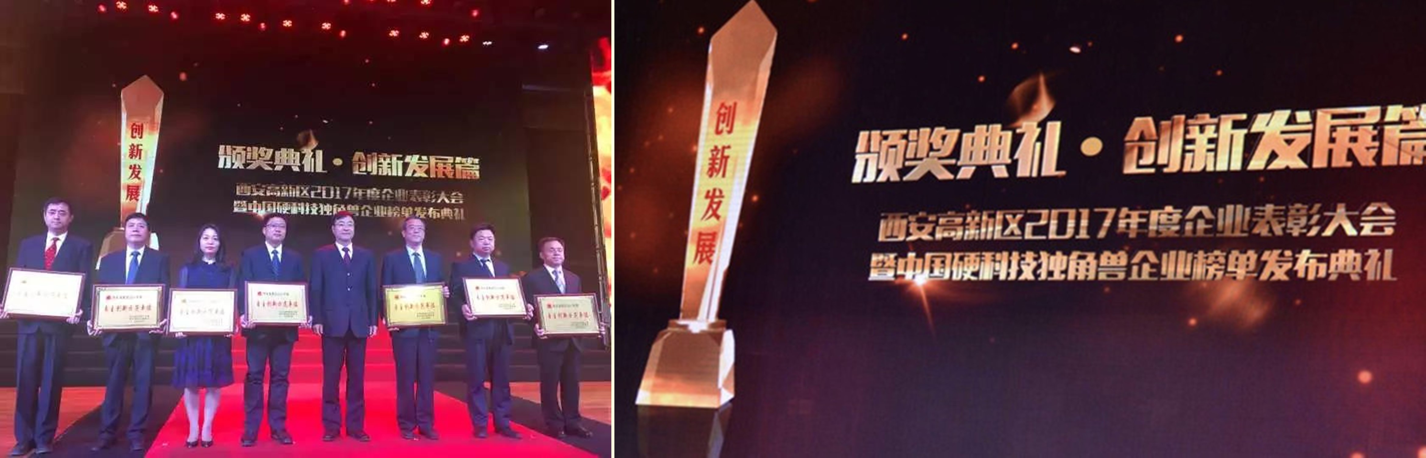 耀彩网科技喜获2017年度自主立异树模单位