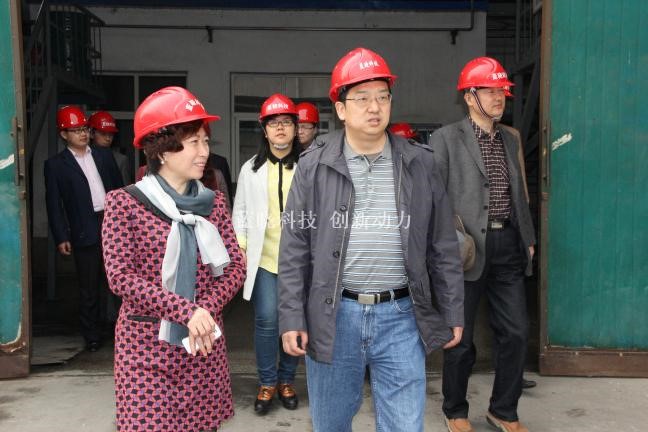 耀彩网科技肩负“陕西省重大科技立异项目”通过验收