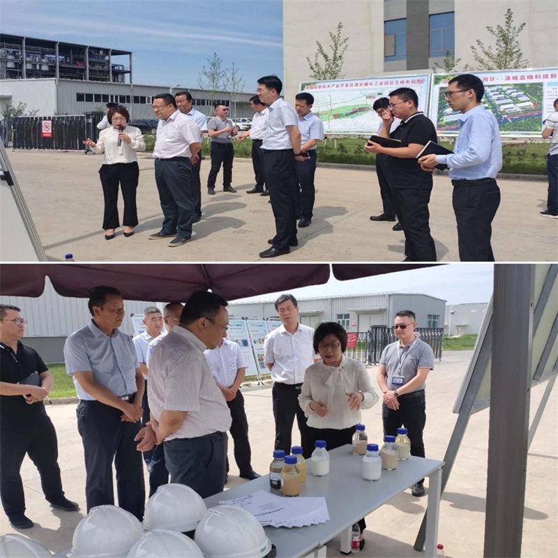 渭南市市长王琳一行调研蒲城耀彩网新质料工业园项目
